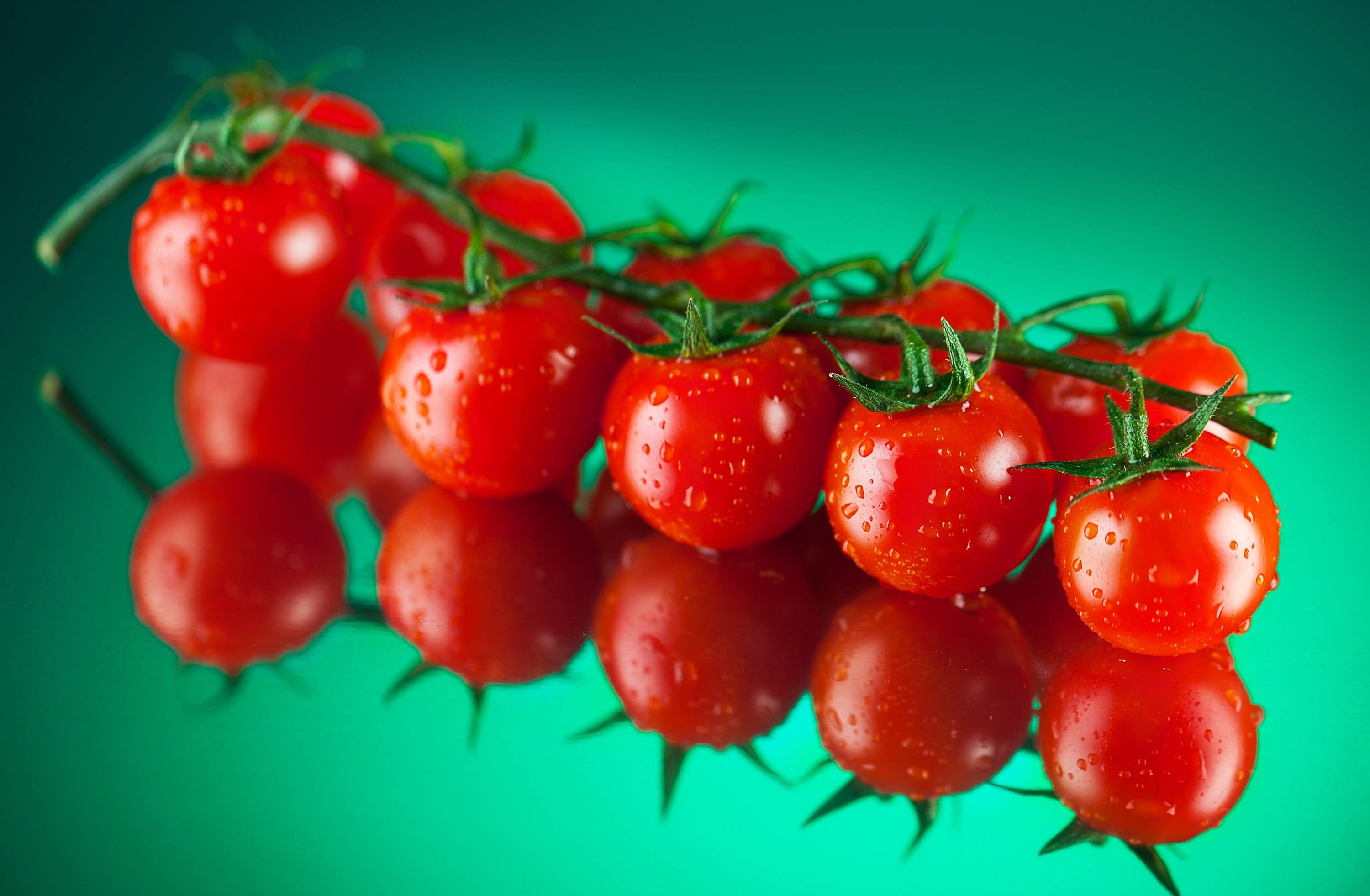 cherry tomatoes, green vine, teal gradient background, 2K Desktop Wallpaper