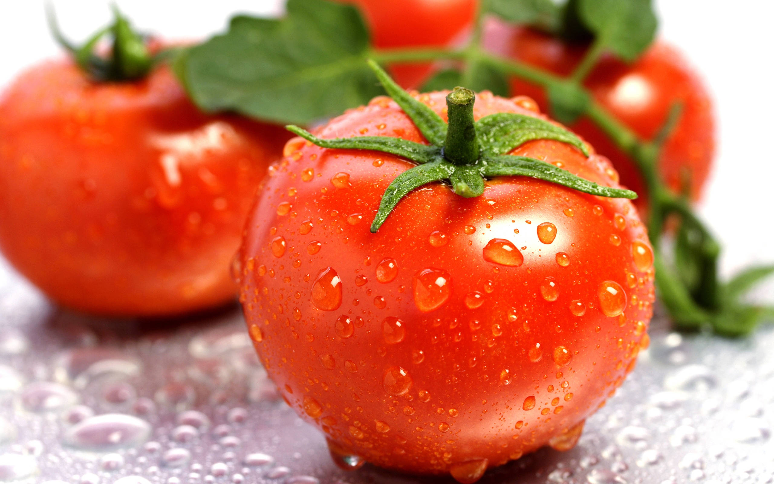 three red ripe tomato fruits, vibrant red tomatoes, water droplets, 2K Desktop Wallpaper