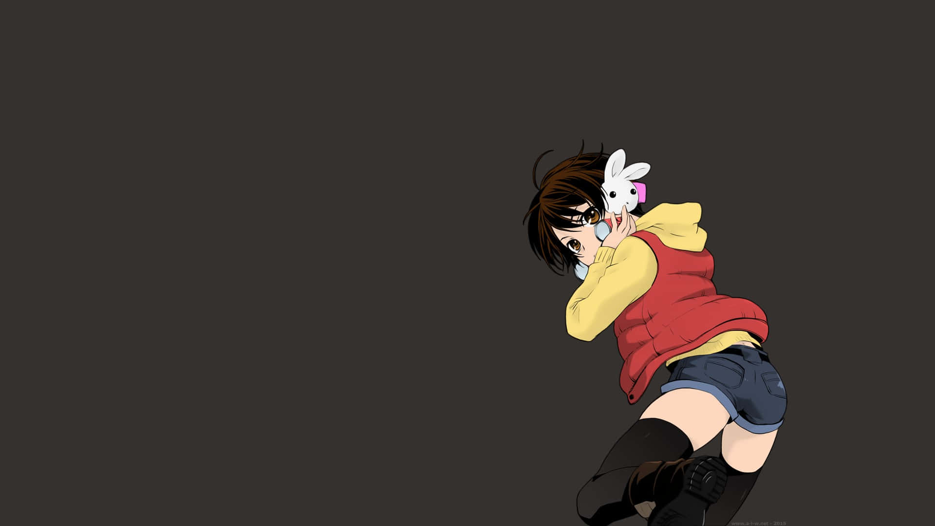 Tomboy Girl, brown hair, bunny mask, Full HD Desktop Wallpaper