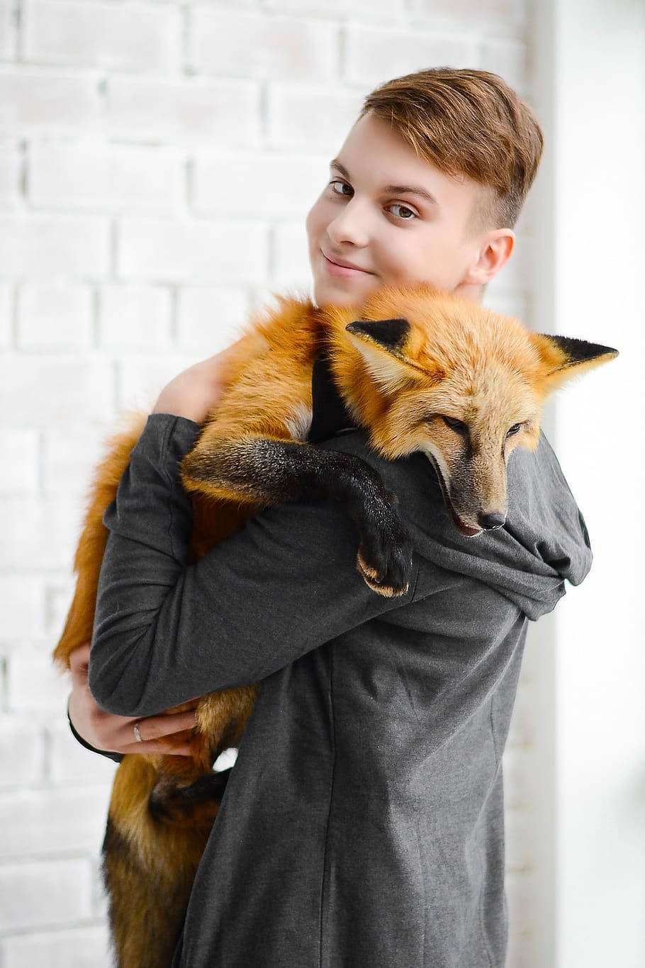 Cute Tomboy, red fox, white brick wall, HD Phone Wallpaper