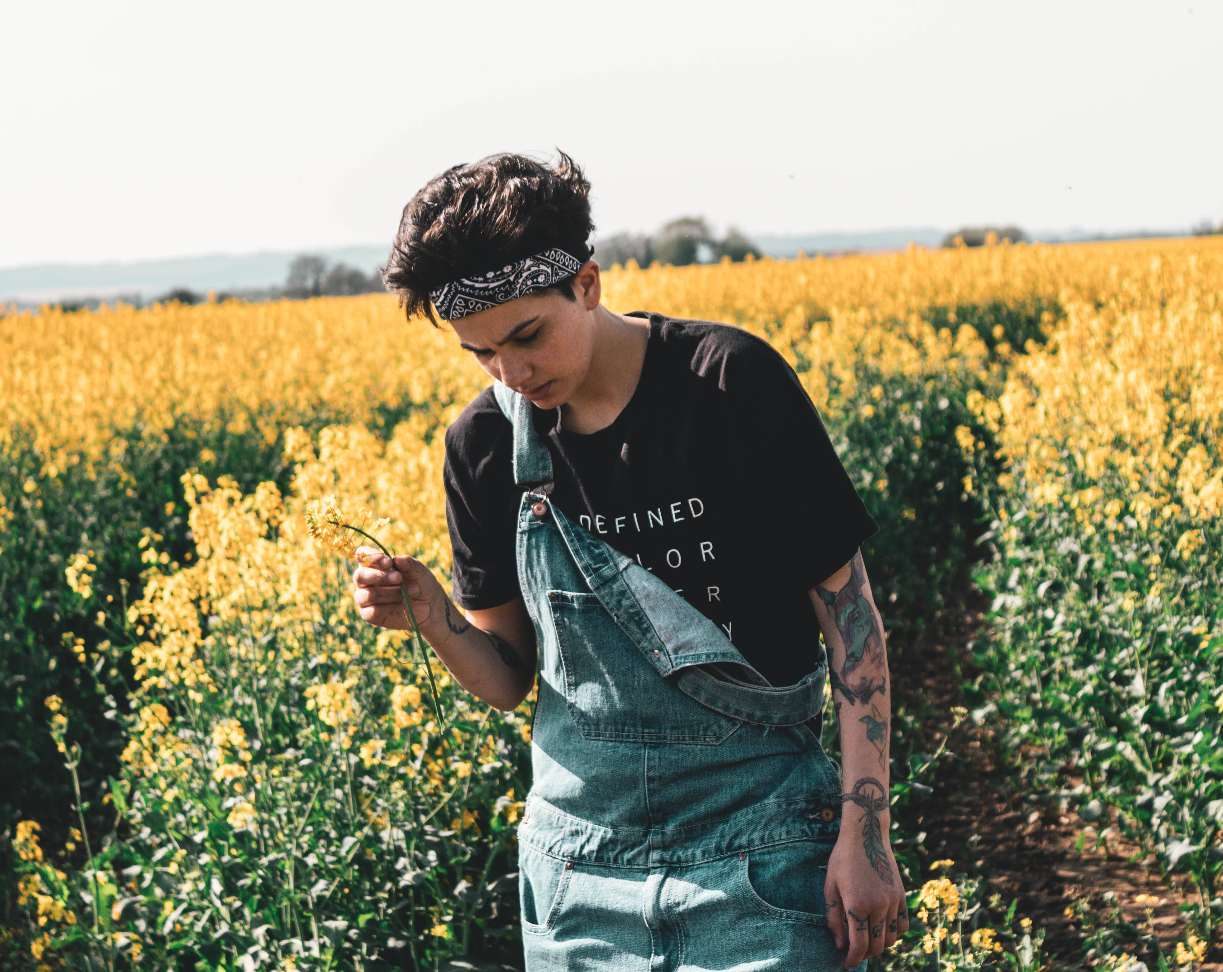 Cute Tomboy, yellow flowers, sunlit field, 4K Desktop Wallpaper