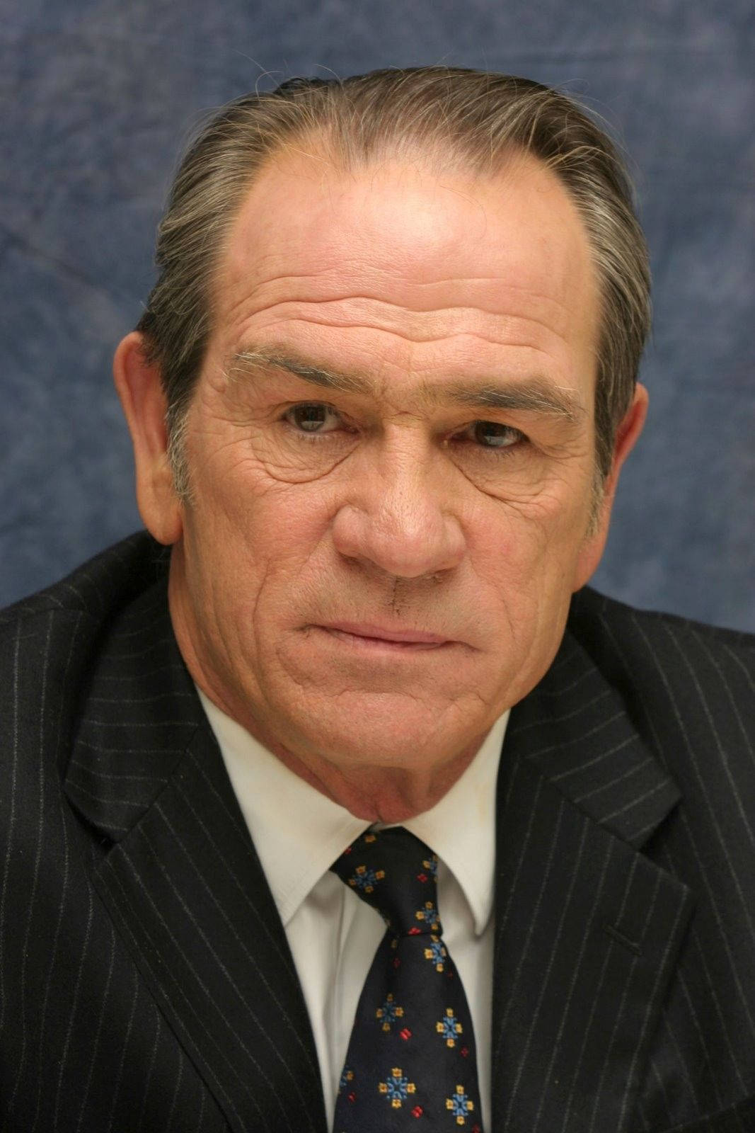Tommy Lee Jones, pinstripe suit, patterned tie, HD Phone Wallpaper