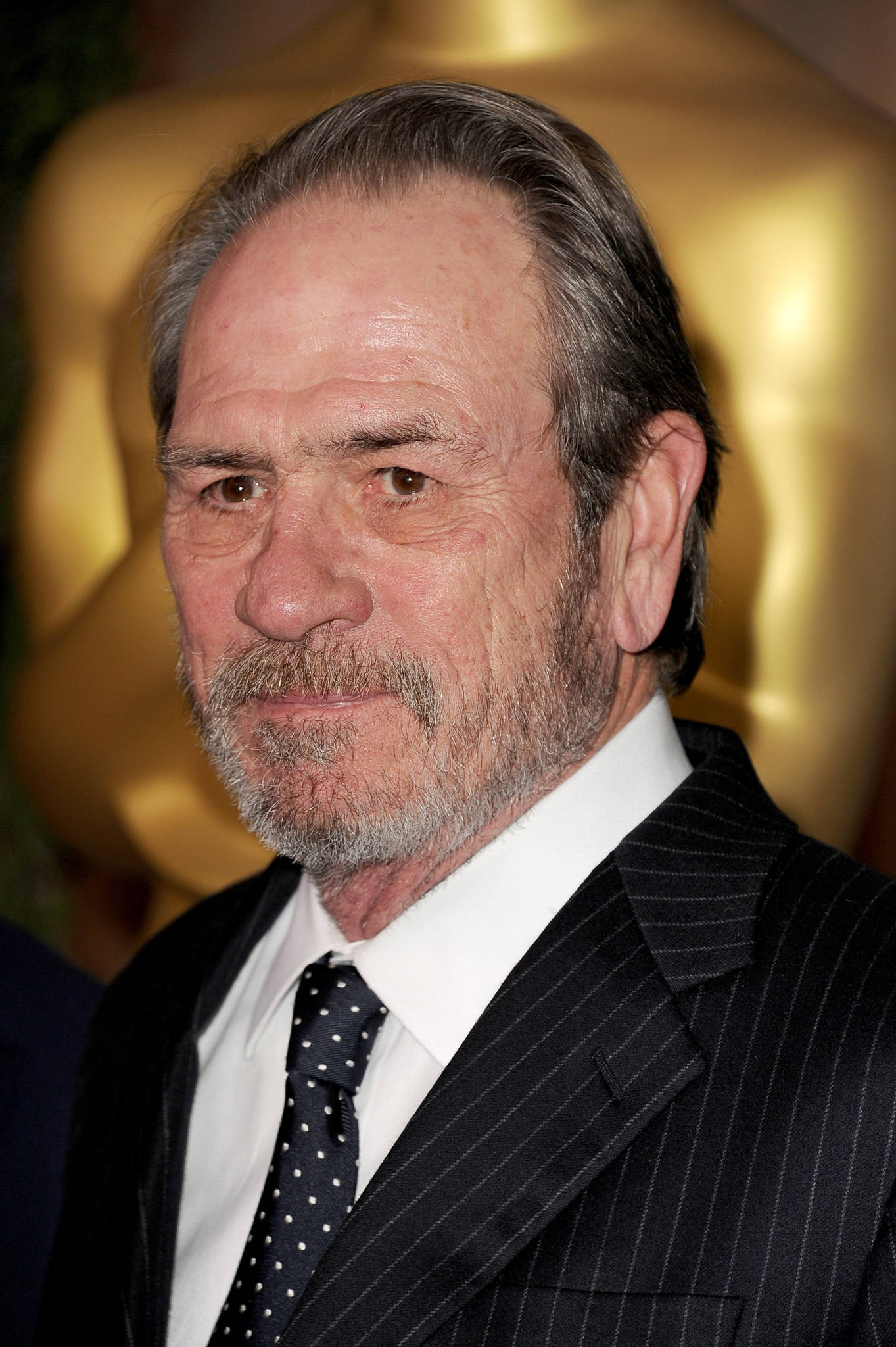 Tommy Lee Jones, pinstripe suit, polka dot tie, Full HD Phone Wallpaper