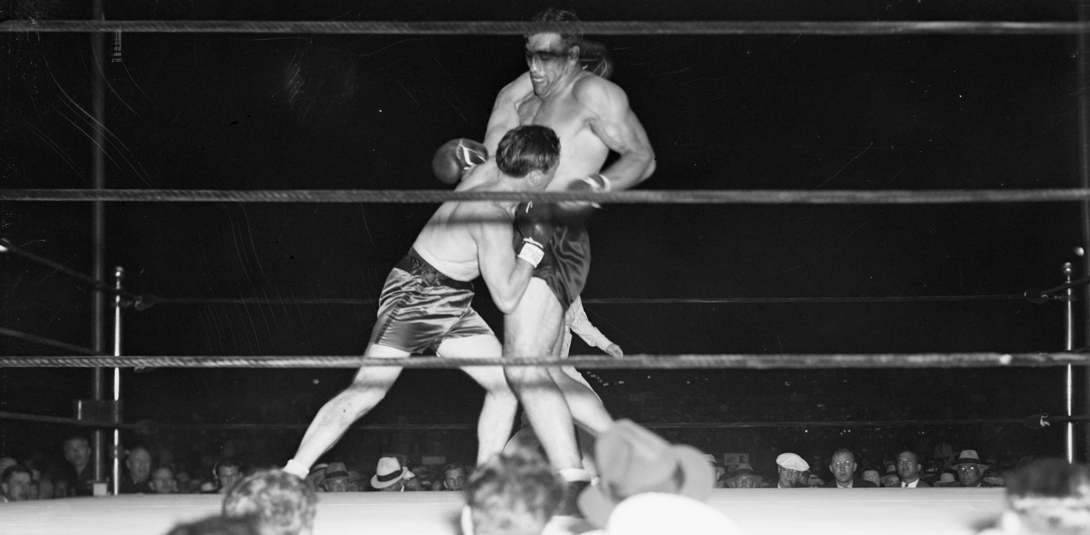 Tommy Loughran, boxing match, ring, 2K Desktop Wallpaper