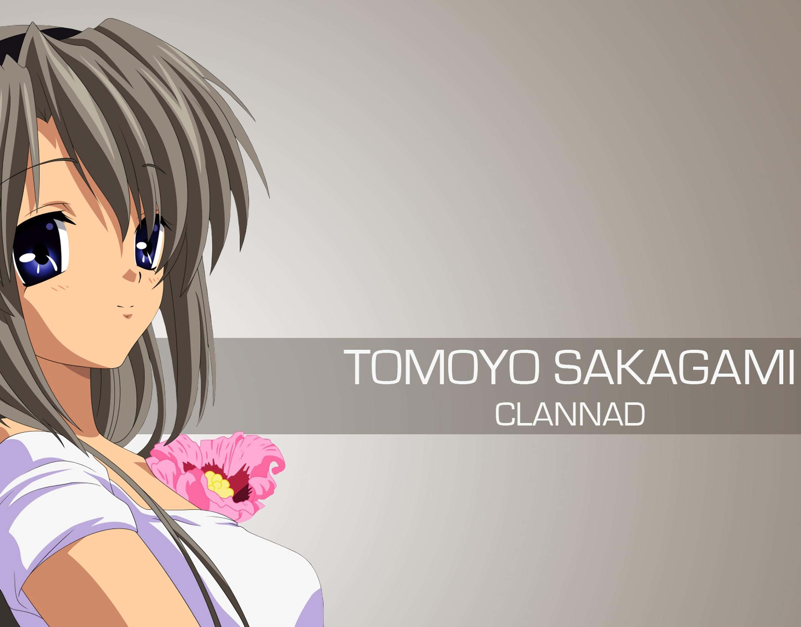 Tomoyo Sakagami, gray hair, blue eyes, Full HD Desktop Wallpaper