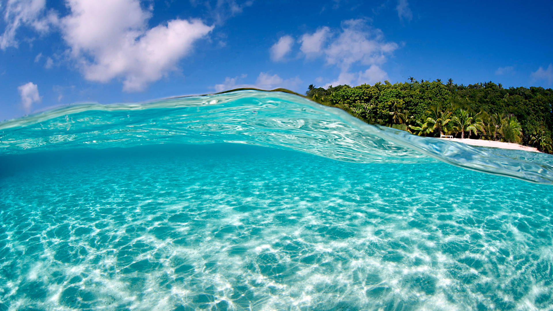 Tonga, turquoise water, lush green tropical island, Full HD Desktop Wallpaper