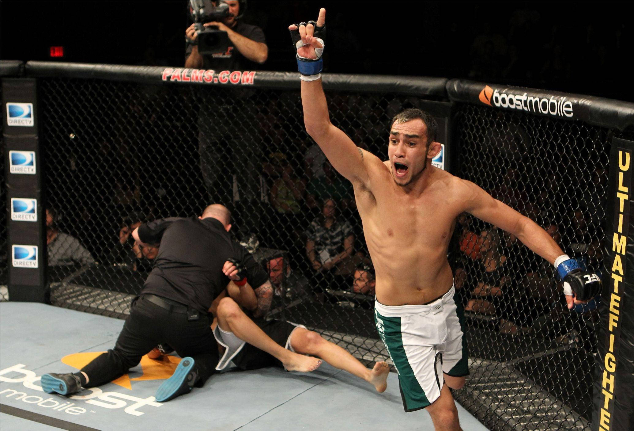 Tony Ferguson, octagon, referee, Full HD Desktop Wallpaper