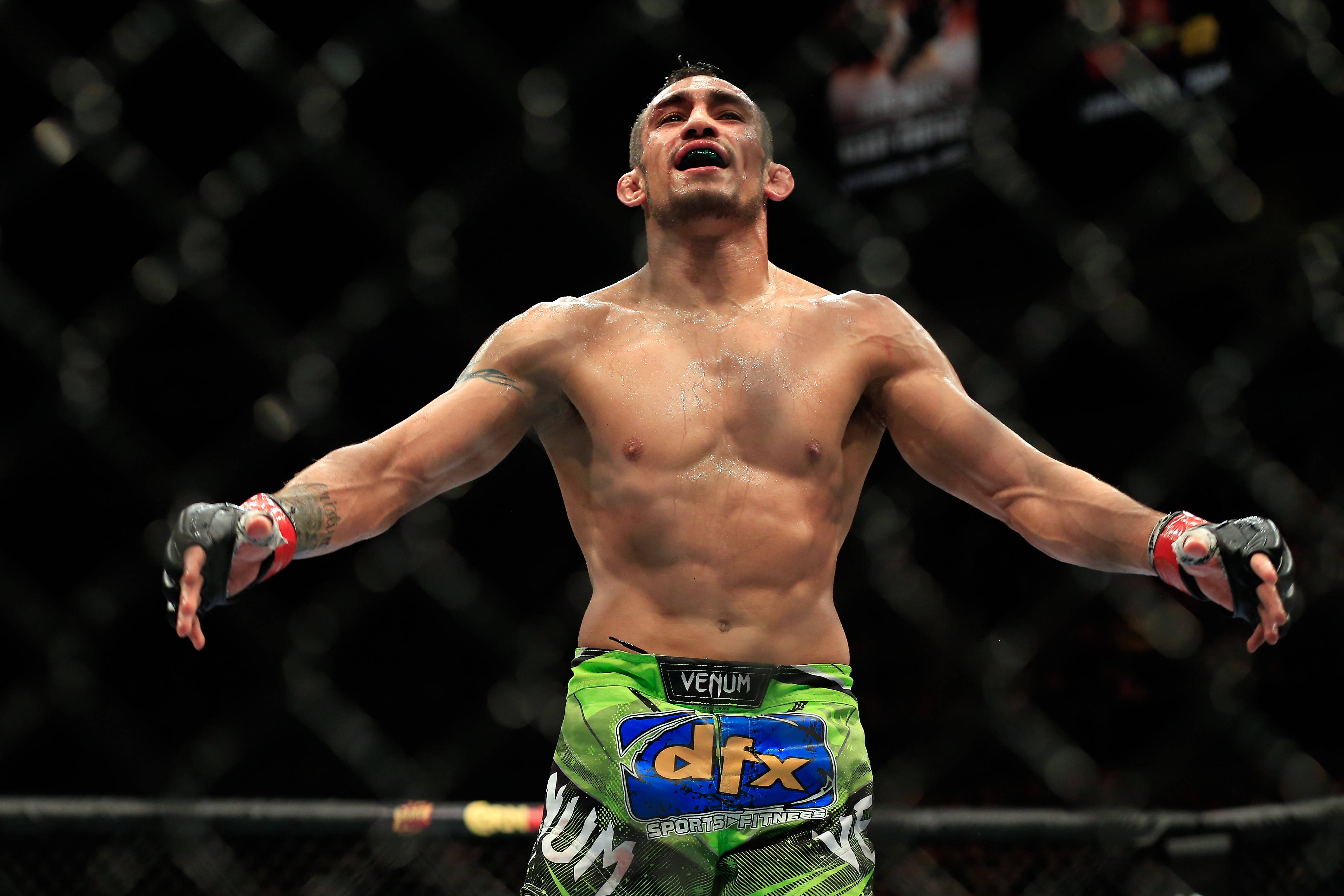 Tony Ferguson, mixed martial artist, octagon cage, 4K Desktop Wallpaper