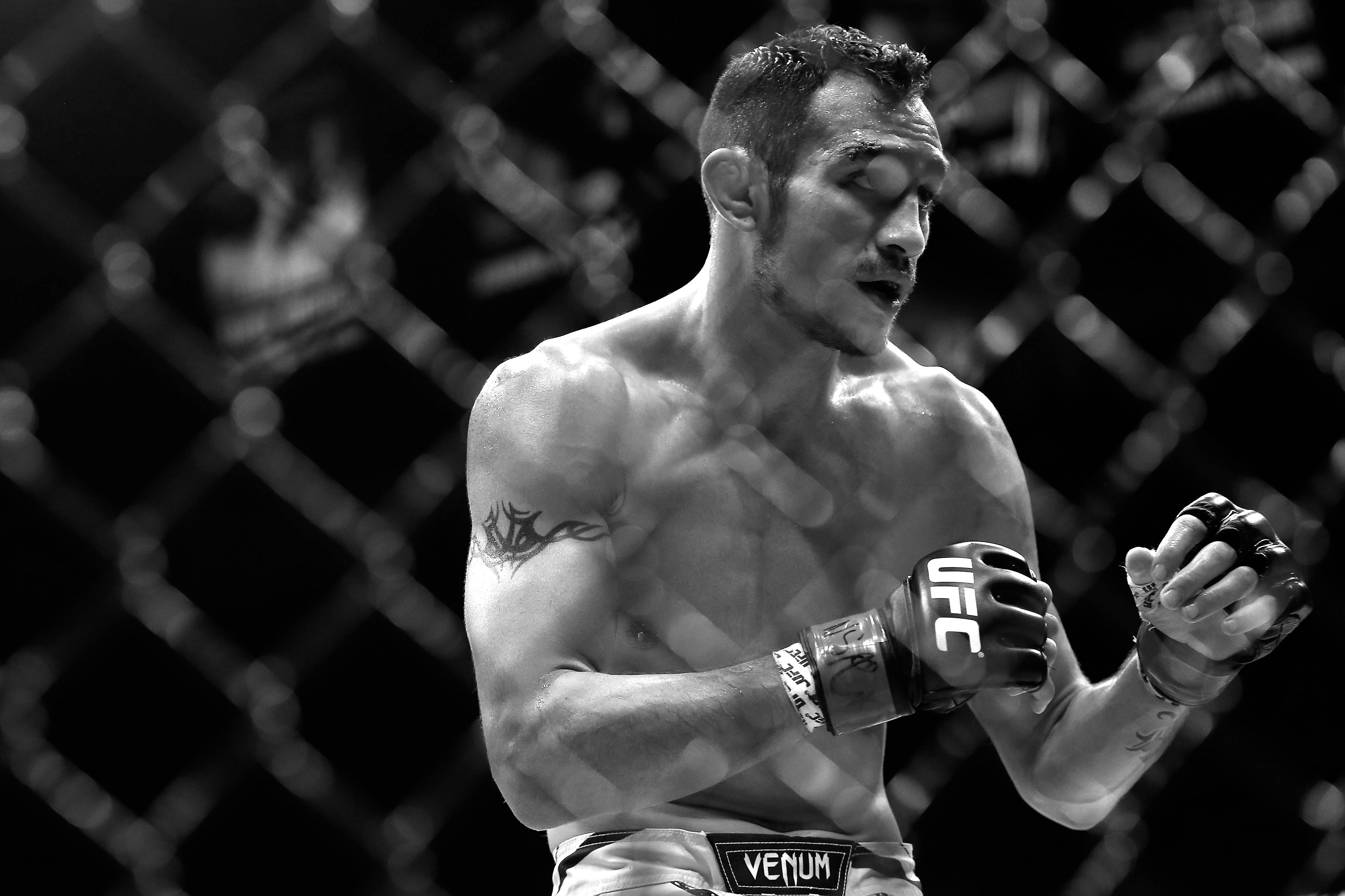 Tony Ferguson, UFC gloves, octagon cage, 4K Desktop Wallpaper