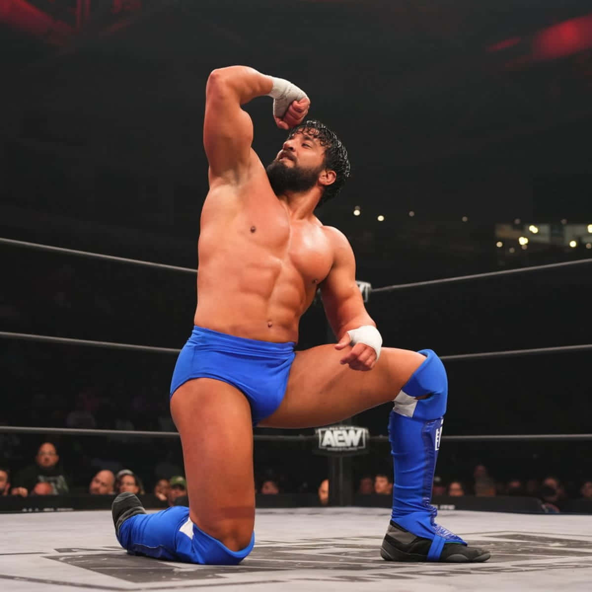 Tony Nese, blue trunks, ring, SD Desktop Wallpaper