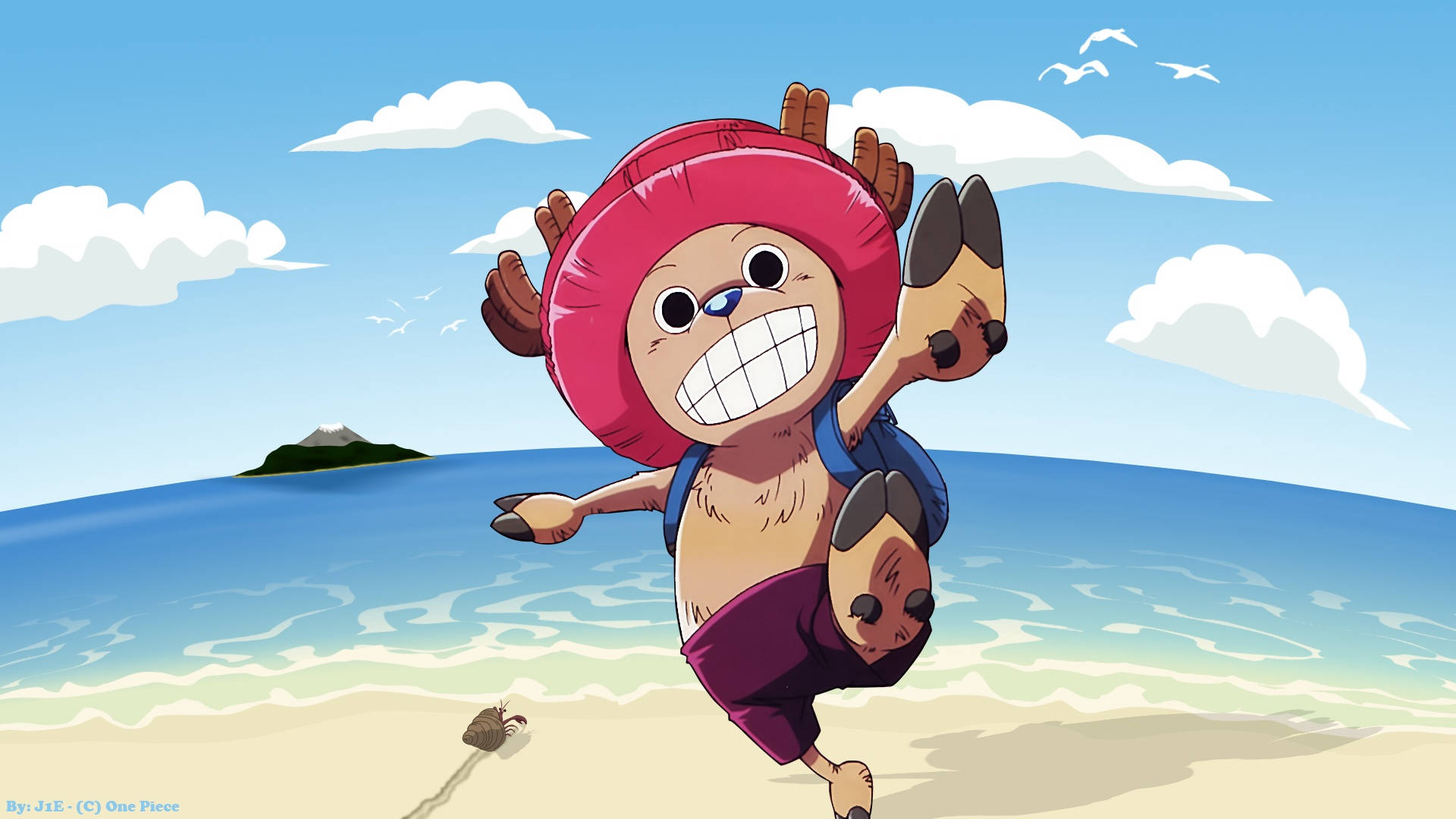 Tony Tony Chopper, pink hat, sunny beach, Full HD Desktop Wallpaper