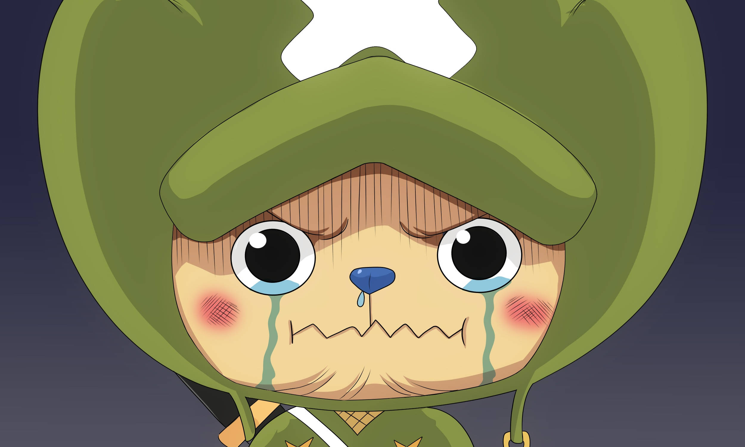 Tony Tony Chopper, green hat, tears, Full HD Desktop Wallpaper