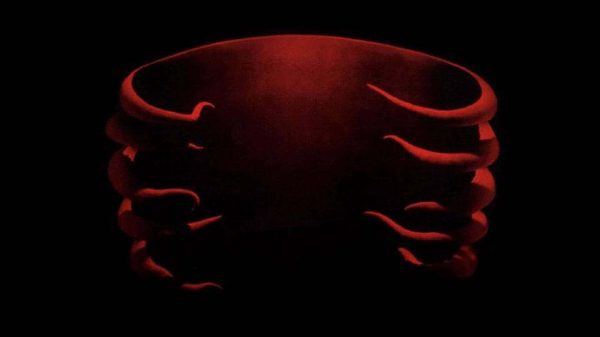 Tool Band, red cup, red rim, Full HD Desktop Wallpaper