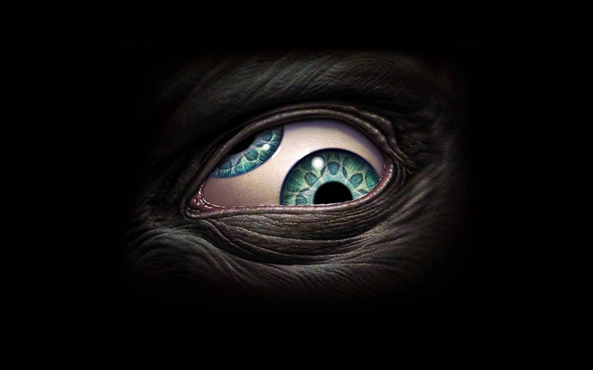 Tool, Dark Eye, teal irises, Full HD Desktop Wallpaper