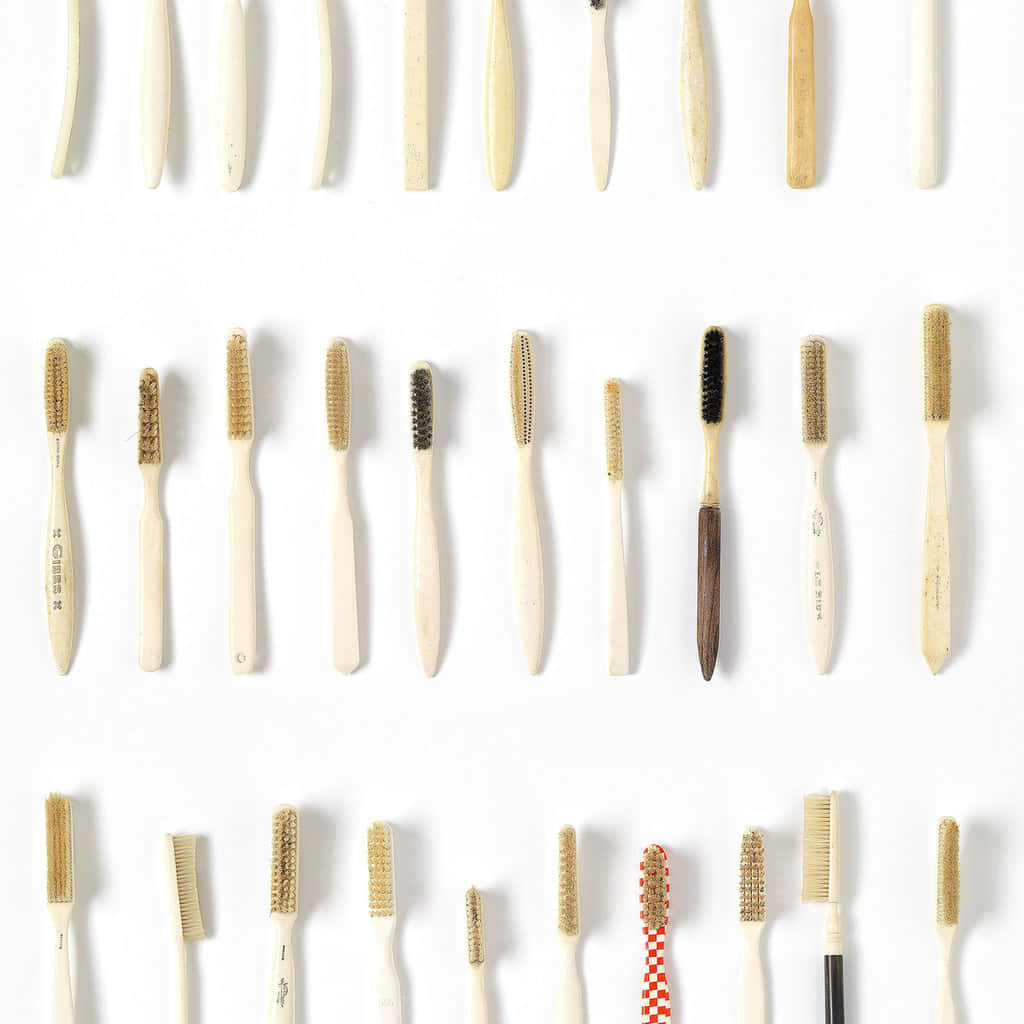vintage toothbrush collection, bamboo toothbrushes, varied bristle colors, SD Desktop Wallpaper