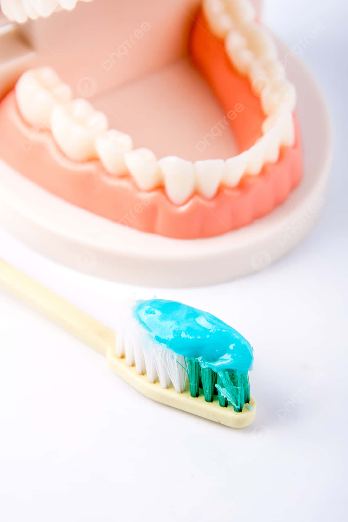 toothbrush, bright blue-green toothpaste, dental model, HD Phone Wallpaper