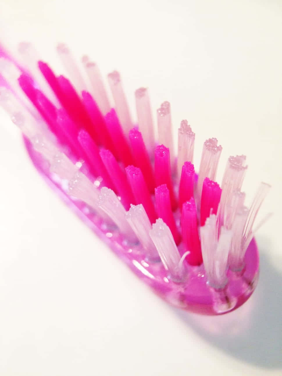 pink, translucent bristle, soft gradient hues, HD Phone Wallpaper