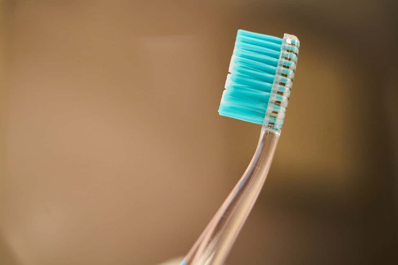 transparent toothbrush, turquoise bristles, warm blurred background, HD Desktop Wallpaper