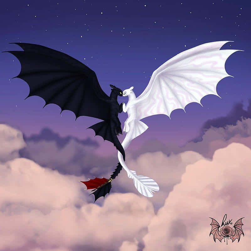 Toothless, Stitch, starry twilight sky, SD Desktop Wallpaper