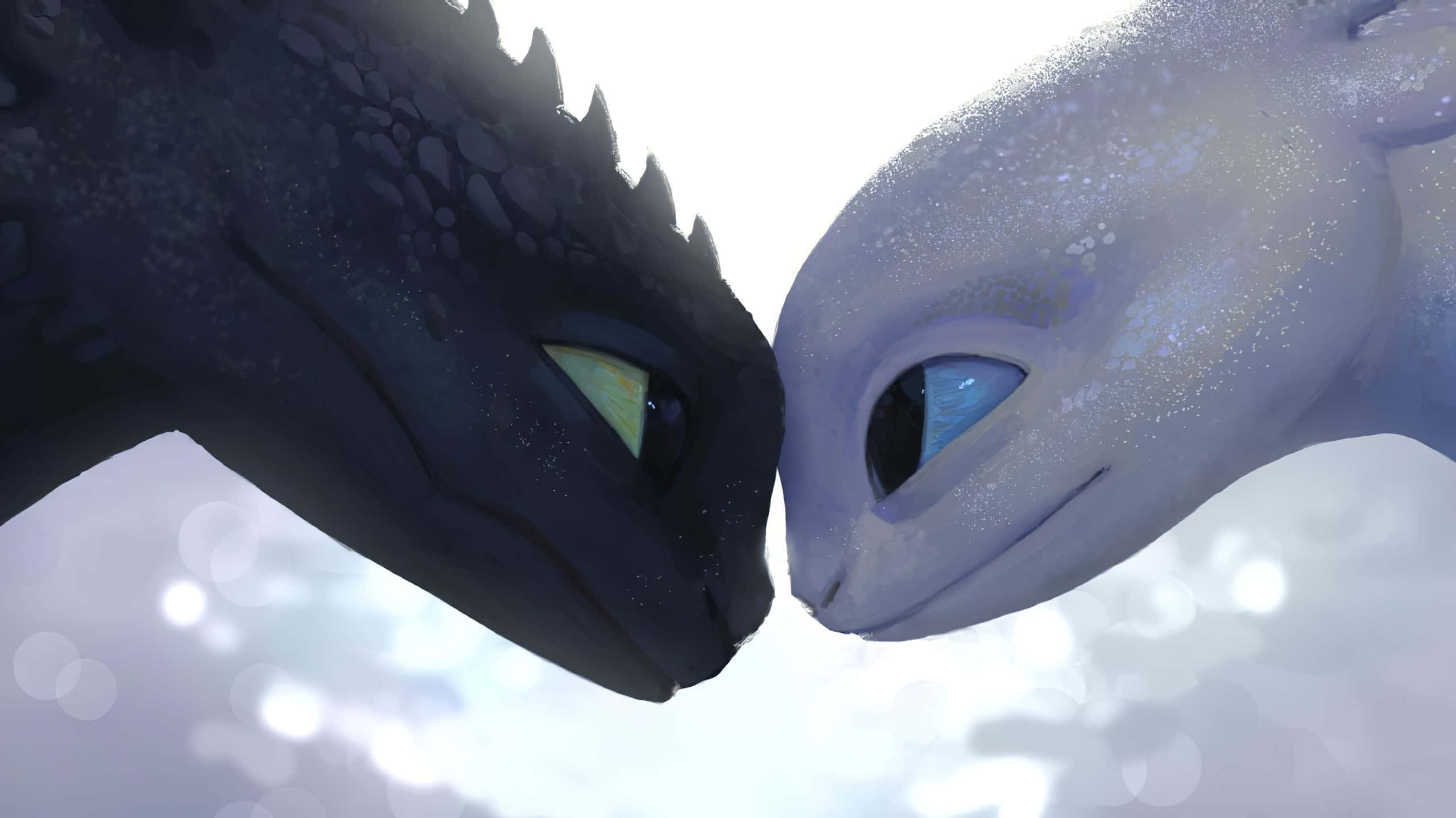 Toothless, Stitch, dark and light scales, 2K Desktop Wallpaper