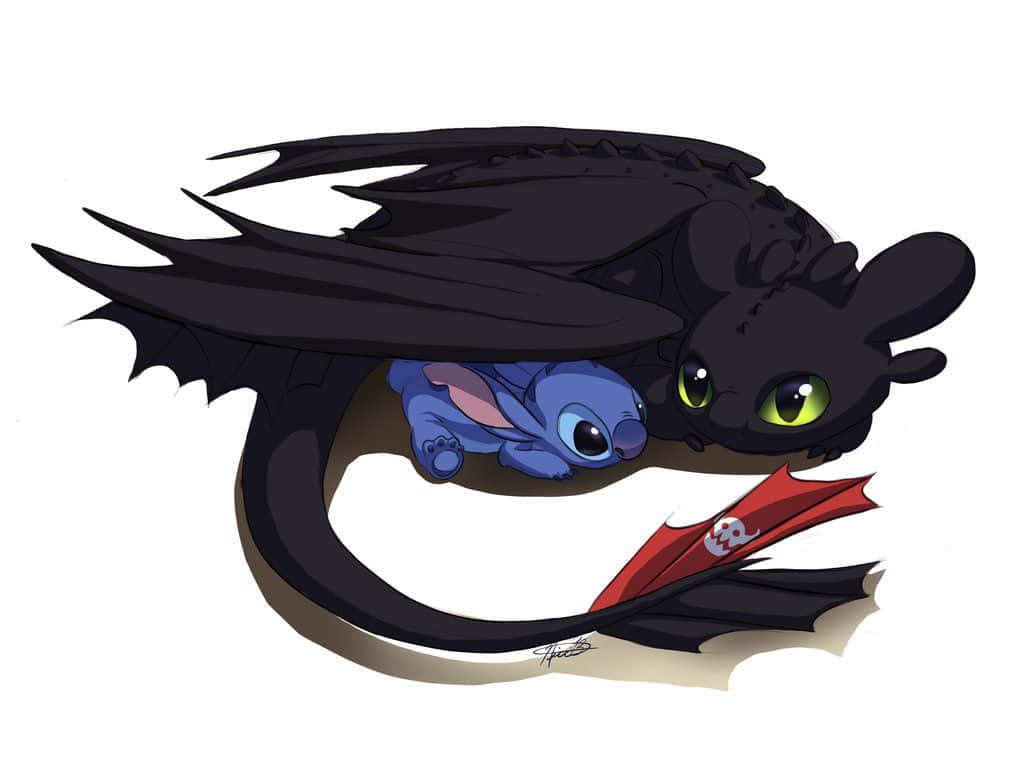 Toothless, Stitch, black dragon, SD Desktop Wallpaper