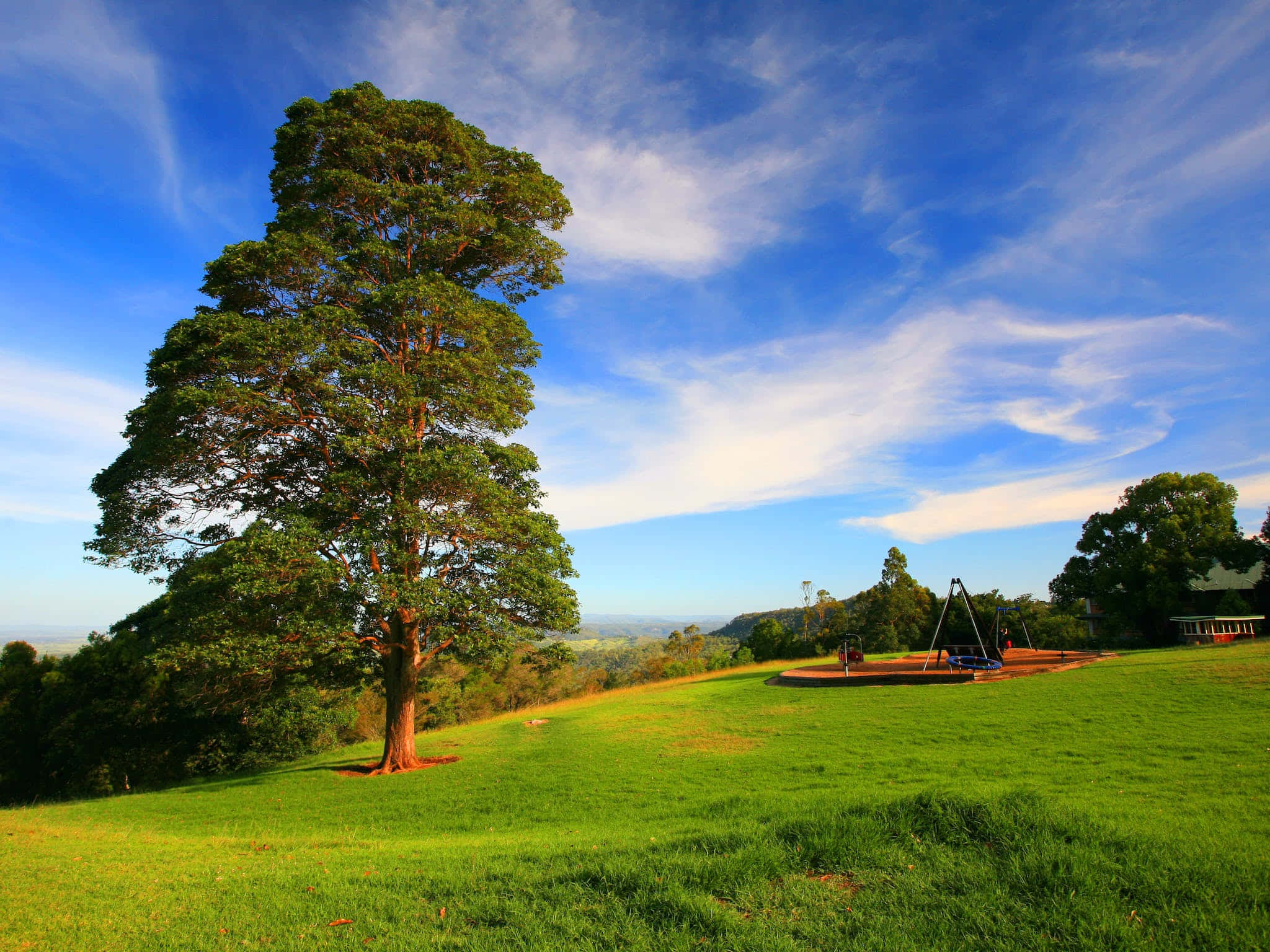 Toowoomba, vibrant green hillside, bright blue sky, Full HD Desktop Wallpaper