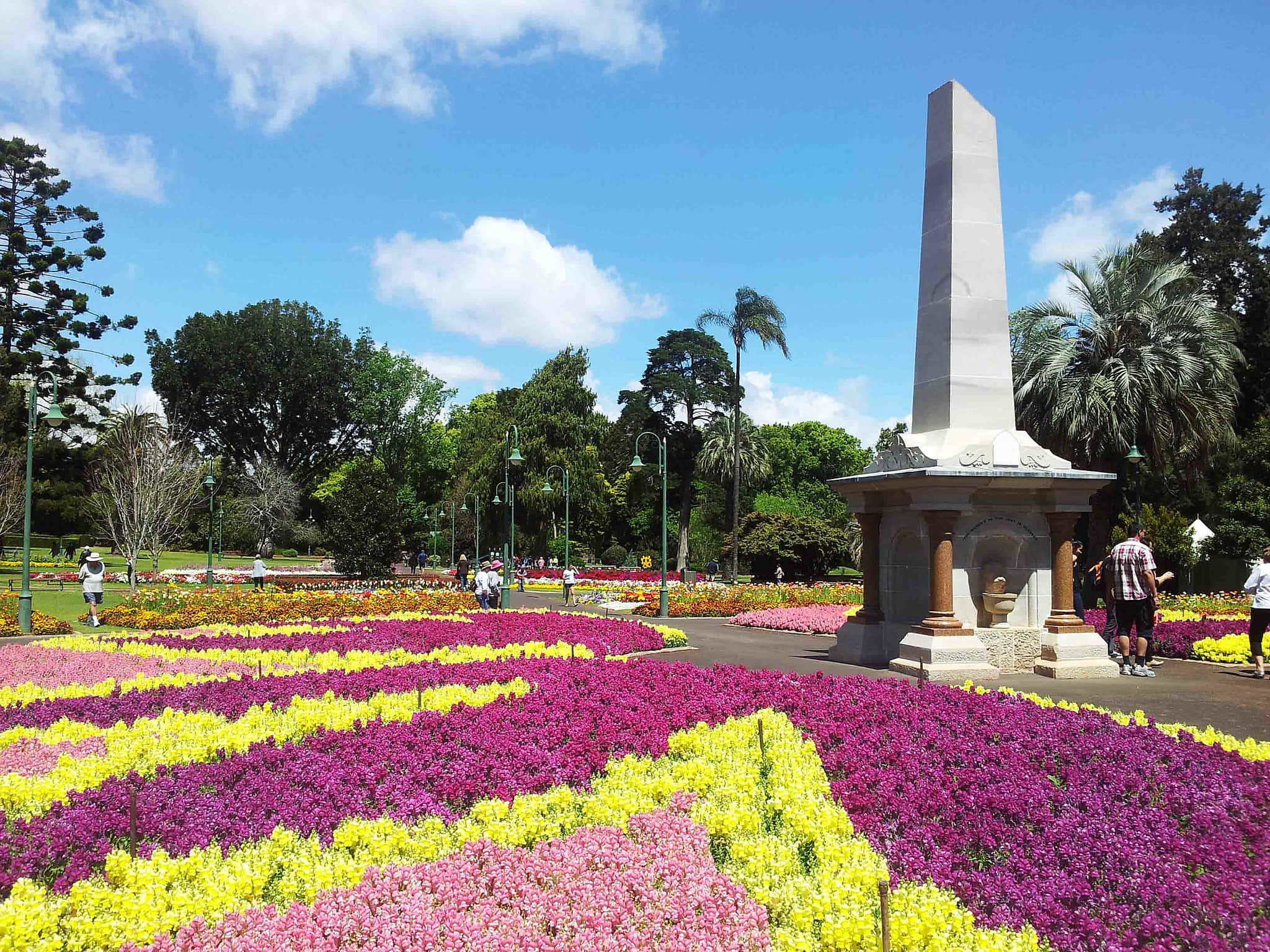 Toowoomba, sunset, flower beds, Full HD Desktop Wallpaper