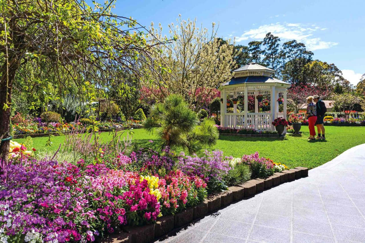Toowoomba, white gazebo, clear blue sky, HD Desktop Wallpaper