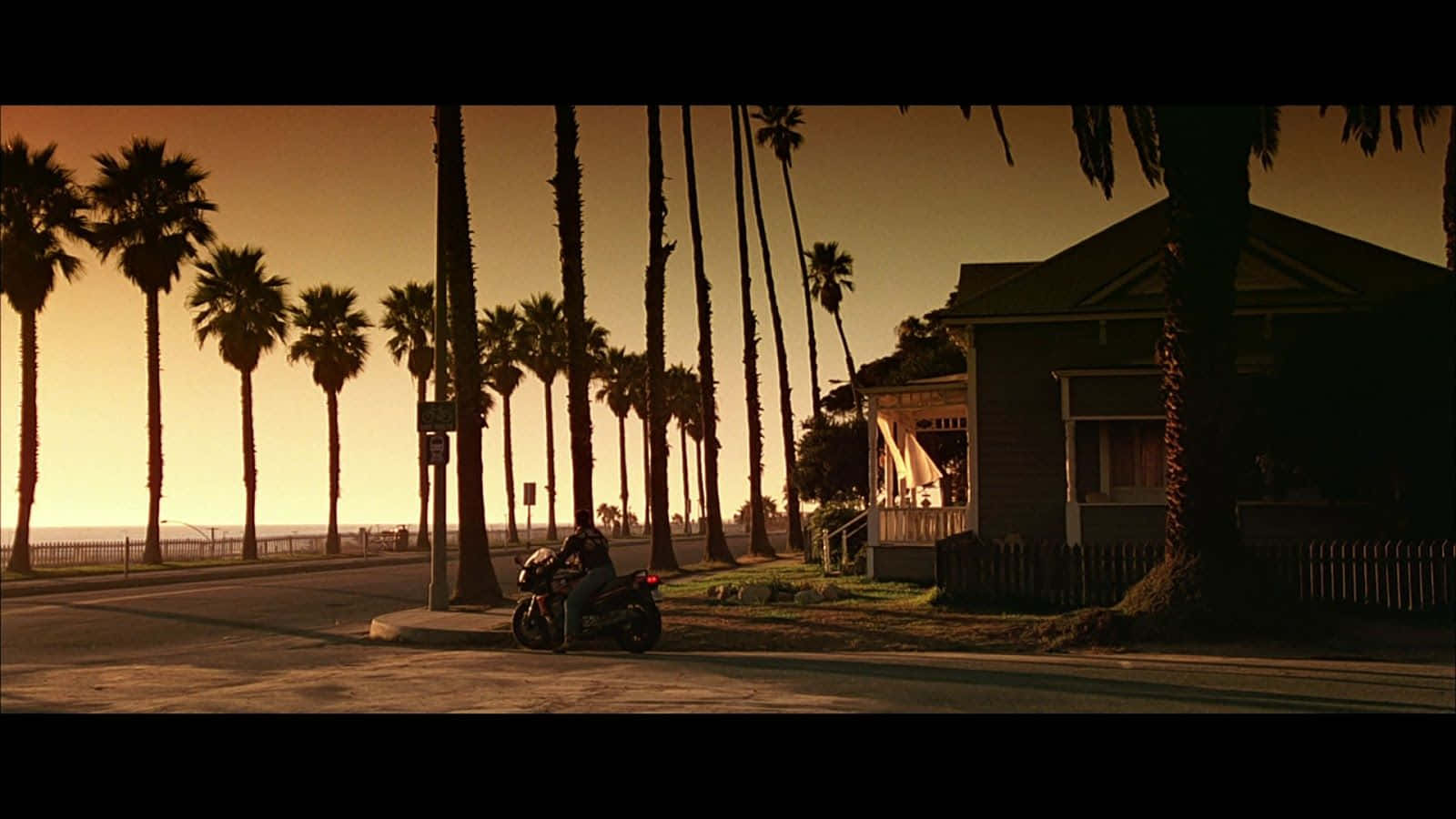 Top Gun, golden sunset, palm-lined street, HD Desktop Wallpaper
