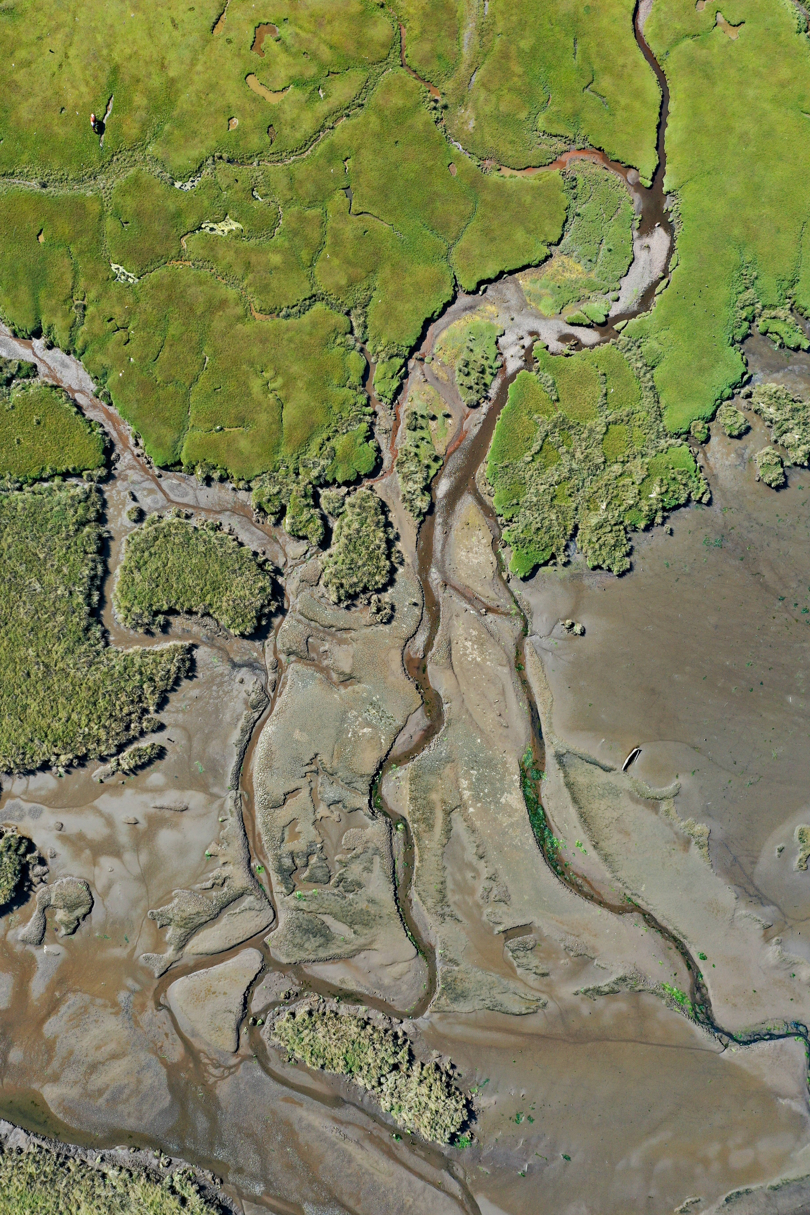 Topographic, land-water areas, winding muddy rivers, 4K Phone Wallpaper