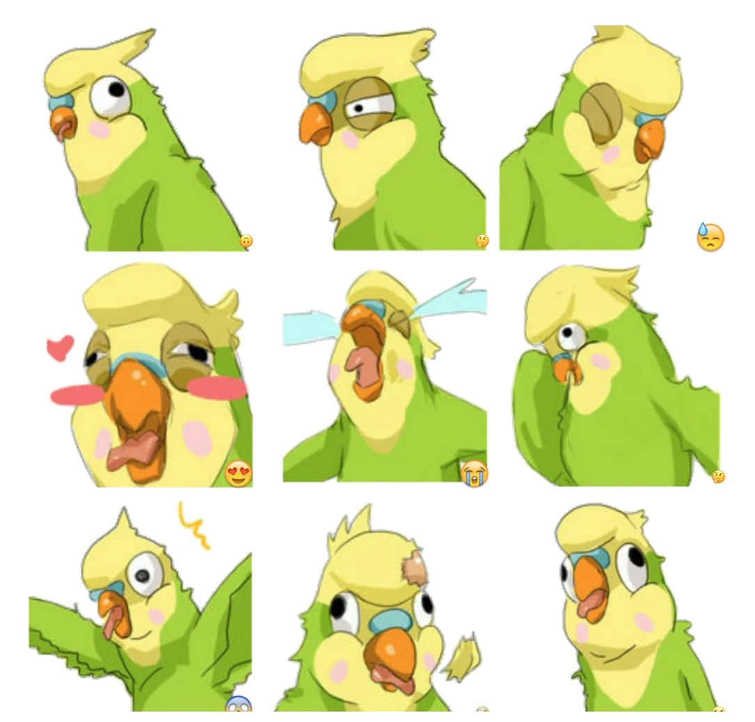 Toradora, Inko, green cartoon parrot, SD Desktop Wallpaper