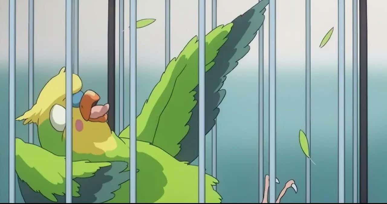 Toradora, Inko, cartoon parrot, HD Desktop Wallpaper