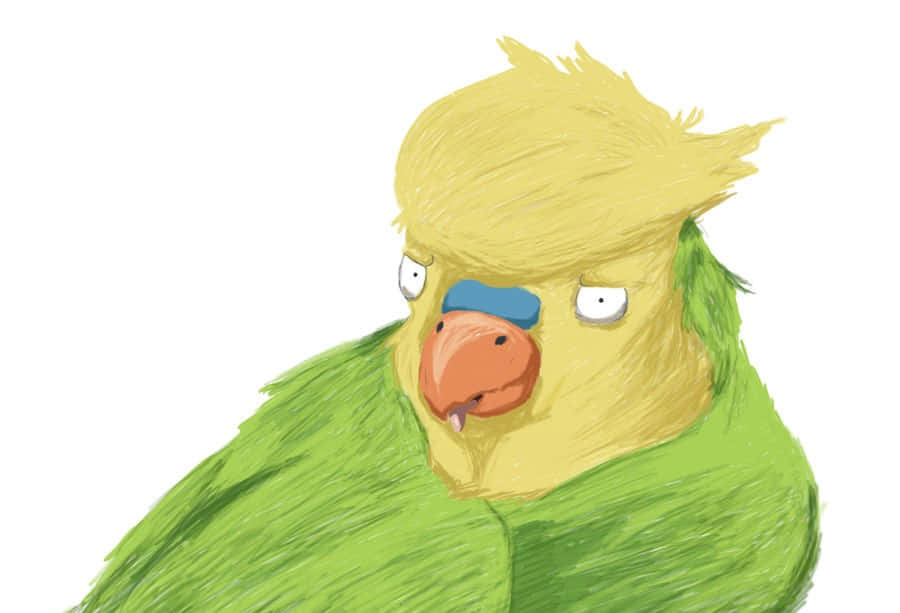 Toradora, Inko, green parrot, SD Desktop Wallpaper
