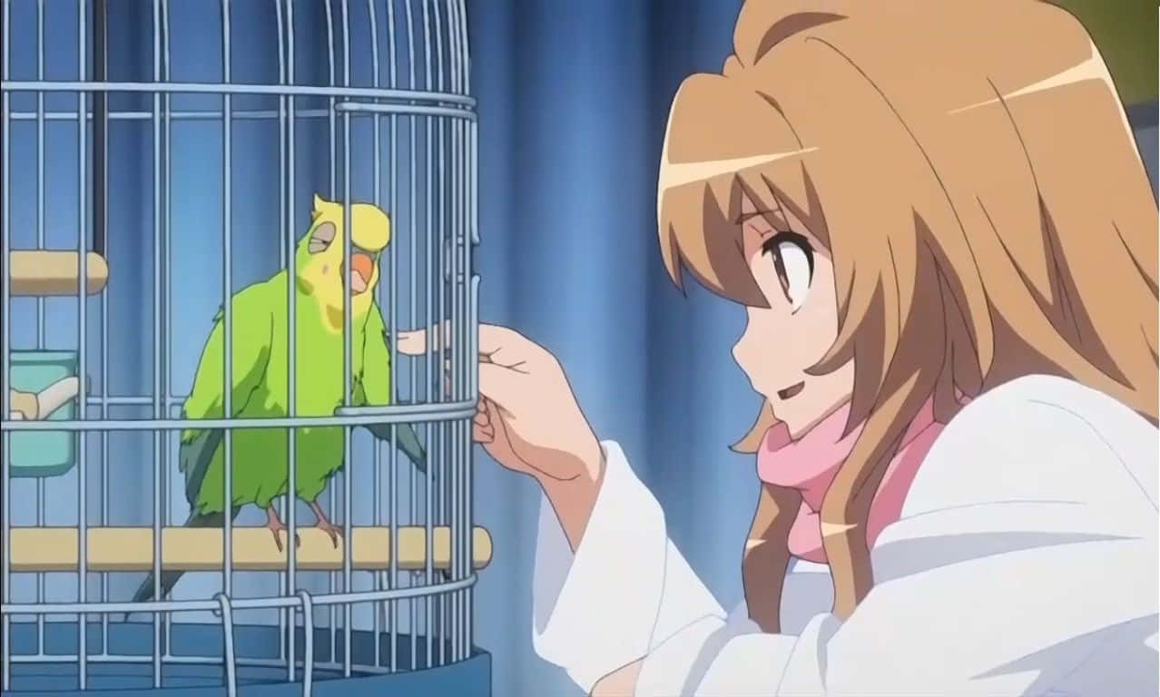 Toradora Inko, green parrot, metal cage, SD Desktop Wallpaper