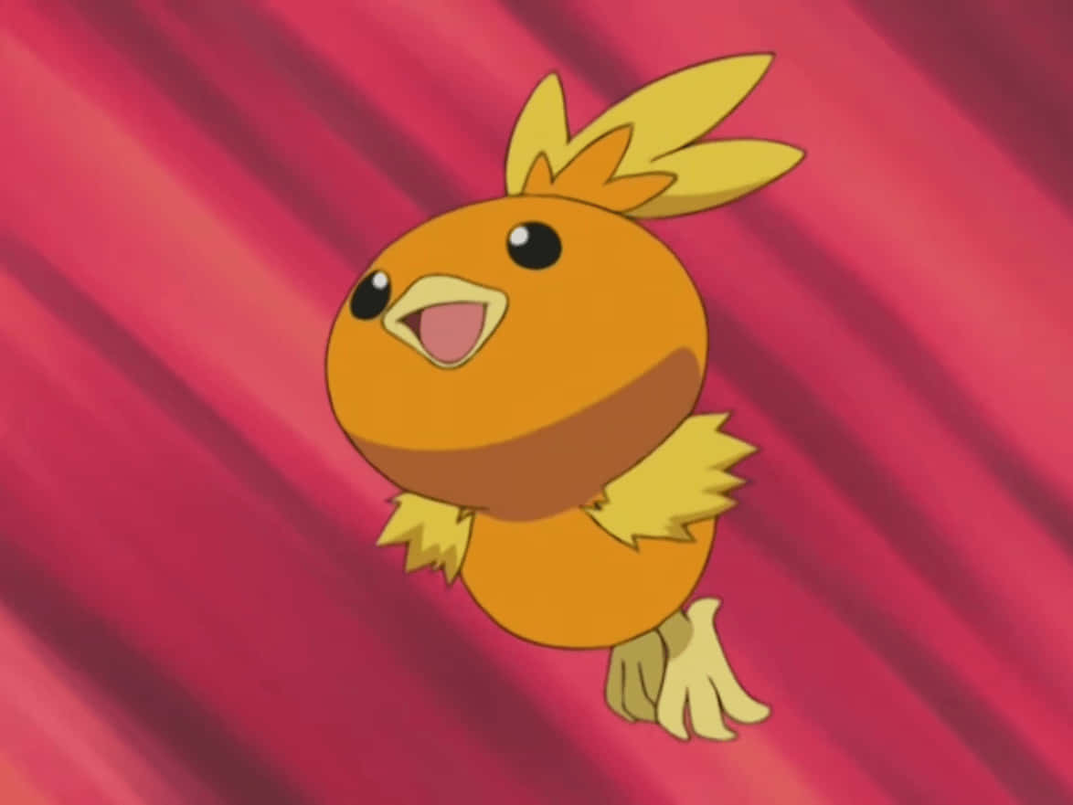 Torchic, orange anime bird, yellow tufts, SD Desktop Wallpaper