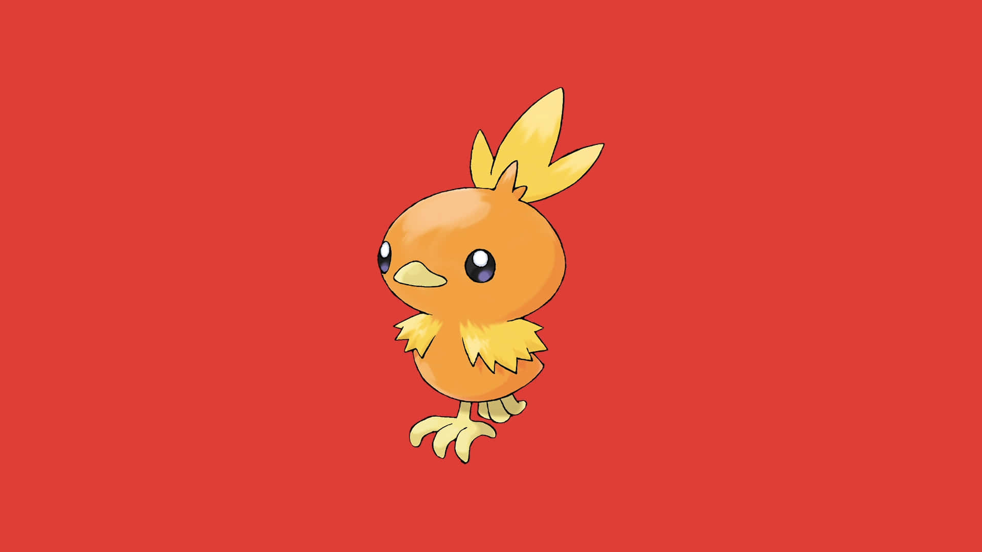 Torchic, red background, yellow feathers, Full HD Desktop Wallpaper