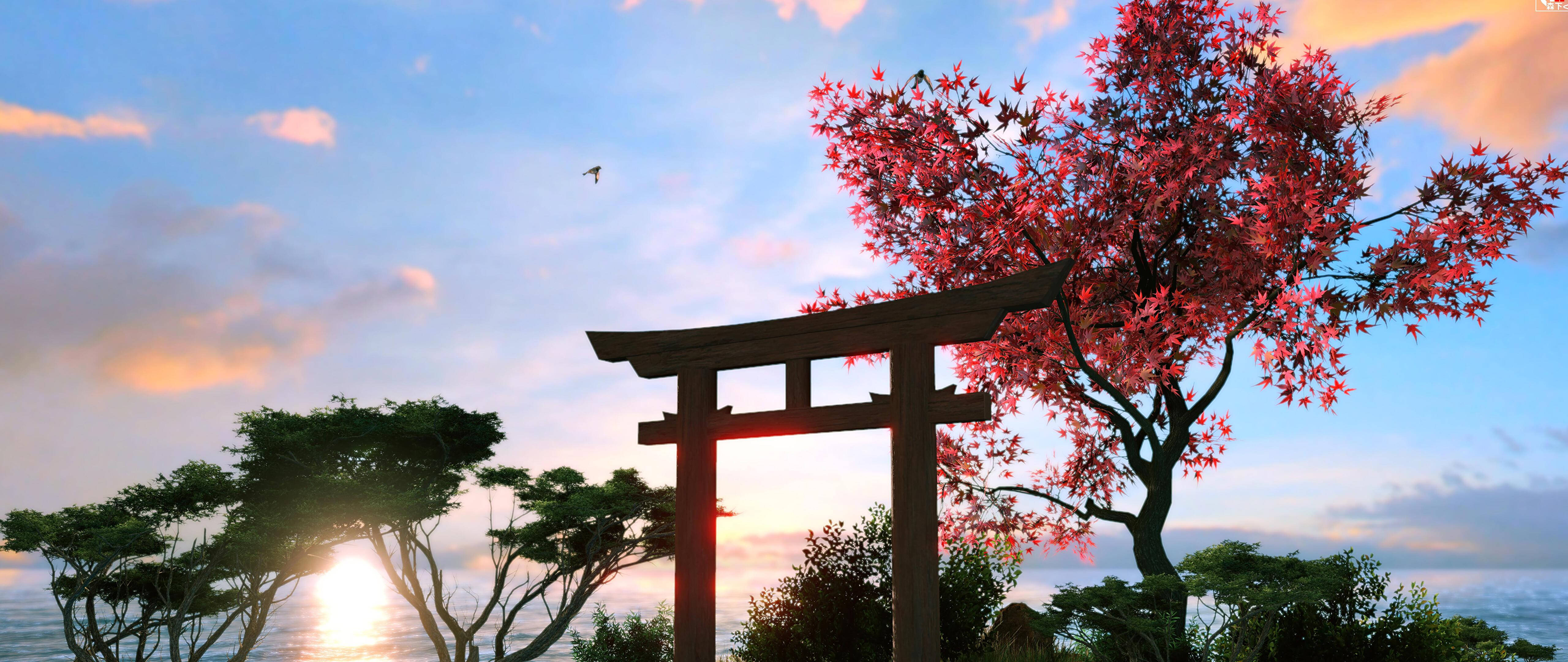 torii gate, vibrant red maple tree, sunset, 5K Desktop Wallpaper