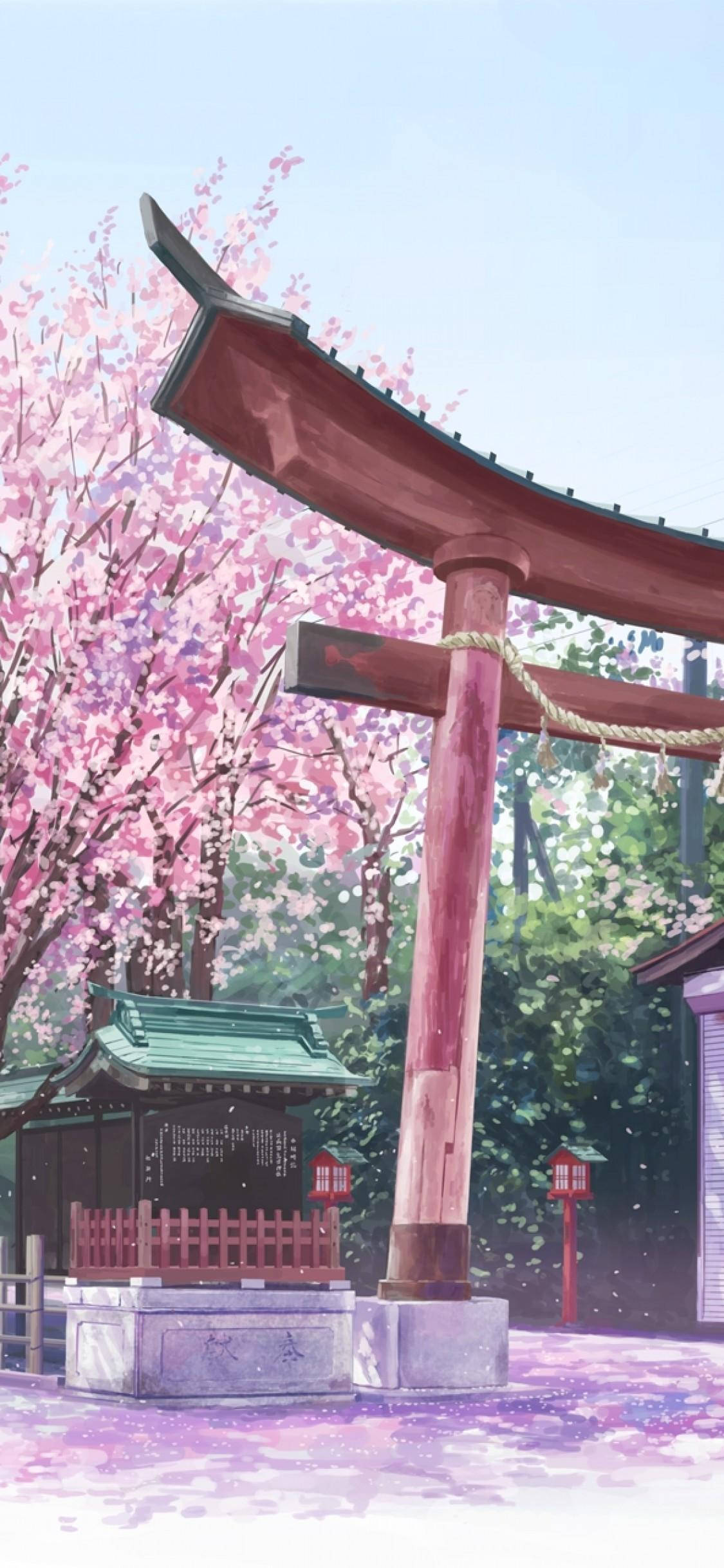 torii gate, sakura tree, cherry blossoms, Full HD Phone Wallpaper