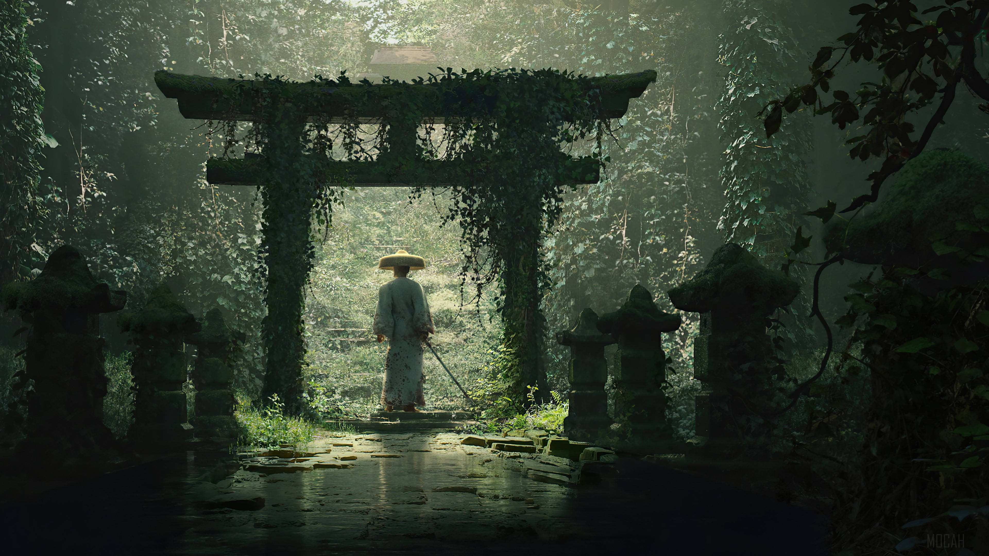 torii gate, moss-covered, misty forest, 4K Desktop Wallpaper