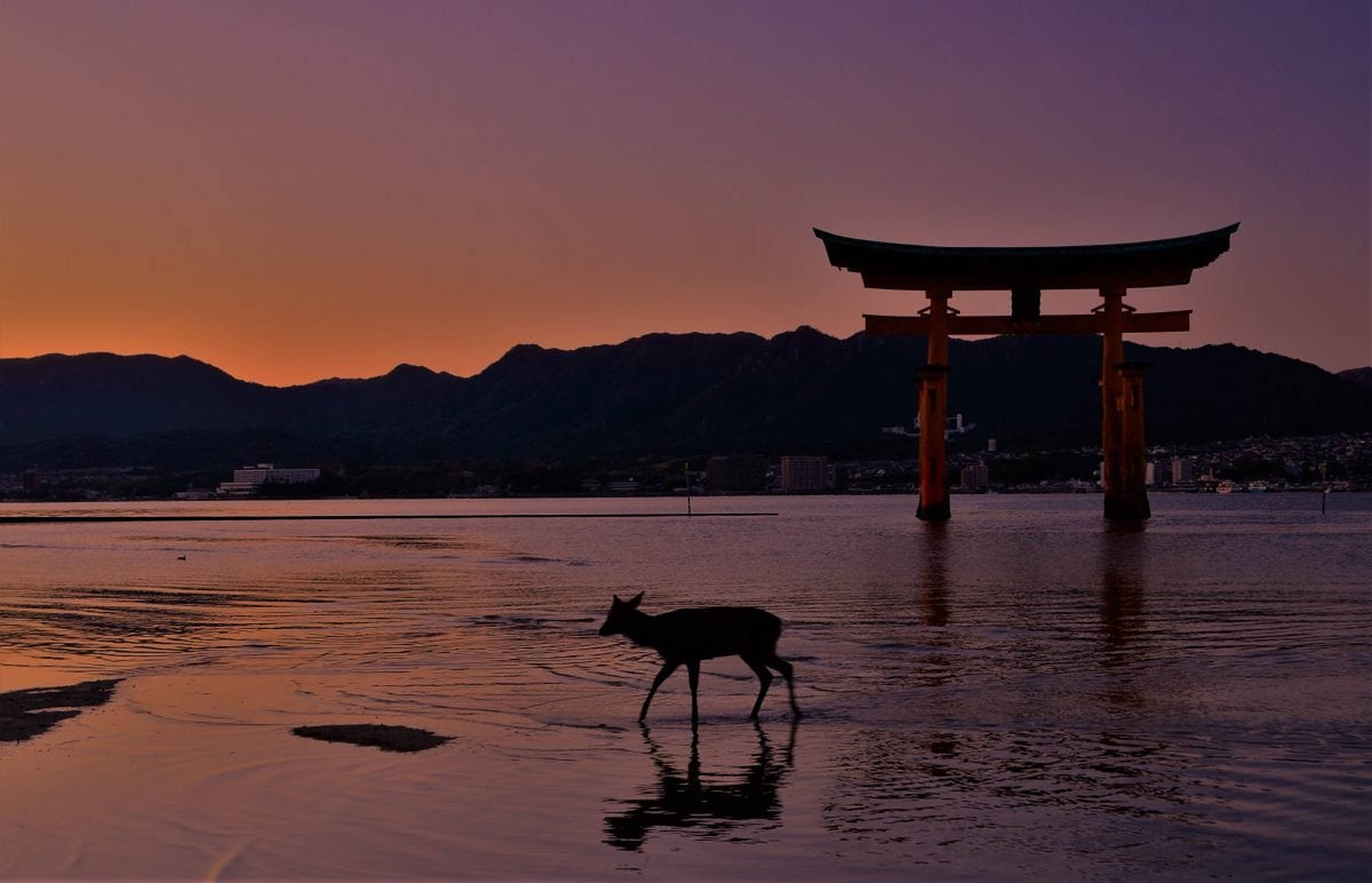 dark torii gate, towering red torii gate, dusk, Full HD Desktop Wallpaper