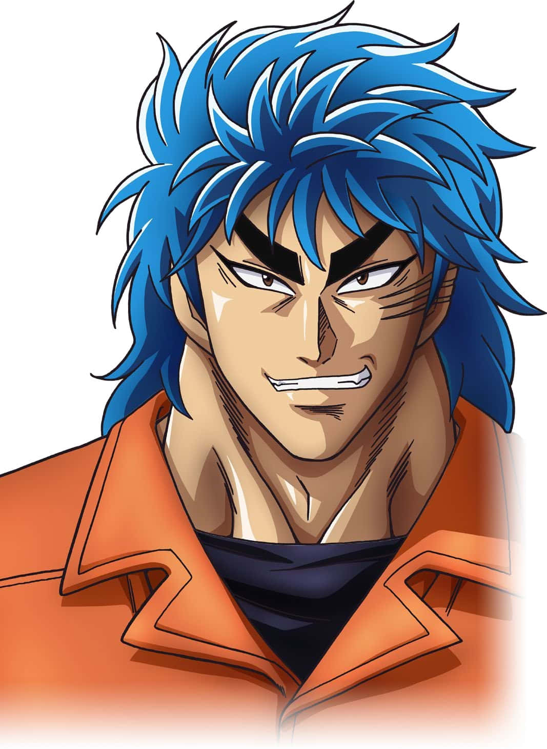 Toriko, spiky blue hair, intense eyes, HD Phone Wallpaper