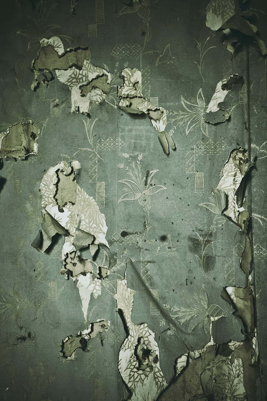desaturated dark green, torn paper, vintage wallpaper, HD Phone Wallpaper