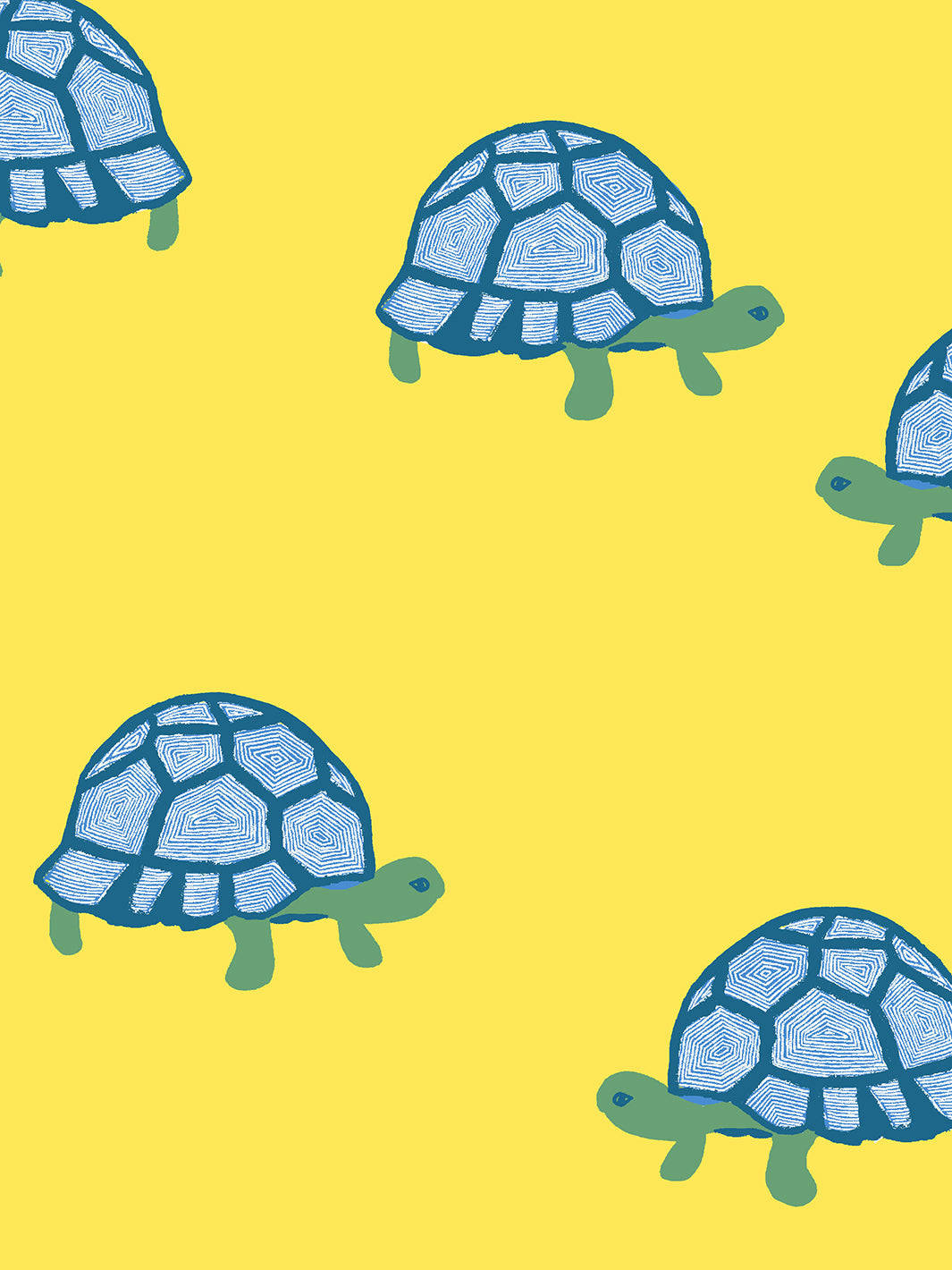 Blue Tortoise, yellow background, hexagonal shell patterns, HD Phone Wallpaper