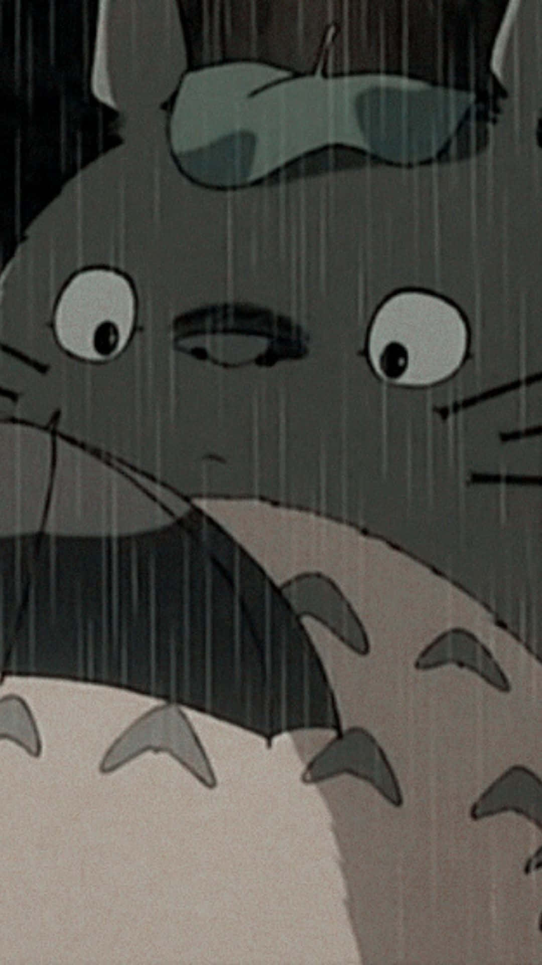 Totoro, rain, bowler hat, Full HD Phone Wallpaper