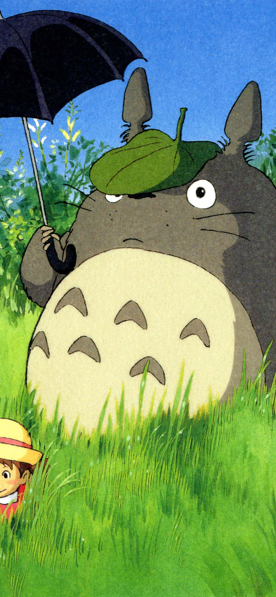 Totoro, leaf hat, black umbrella, Full HD Phone Wallpaper