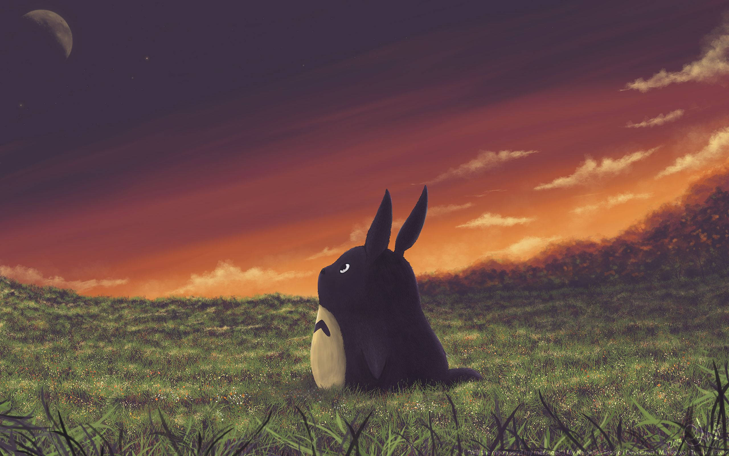 Totoro, field, sunset, 2K Desktop Wallpaper