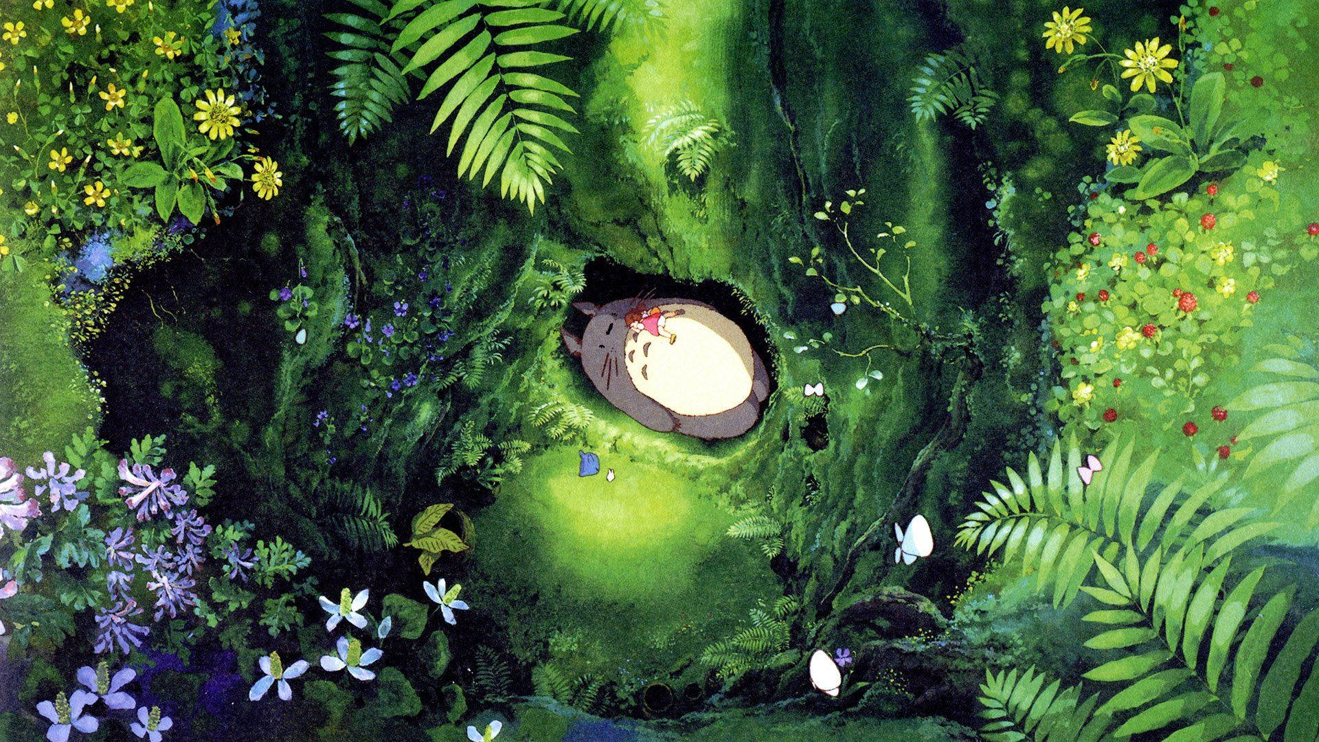 Totoro, sleeping, hole, Full HD Desktop Wallpaper