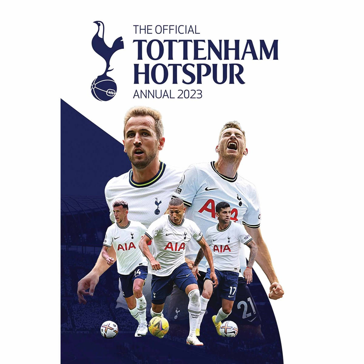 Tottenham Hotspurs FC, white jerseys, soccer balls, SD Desktop Wallpaper