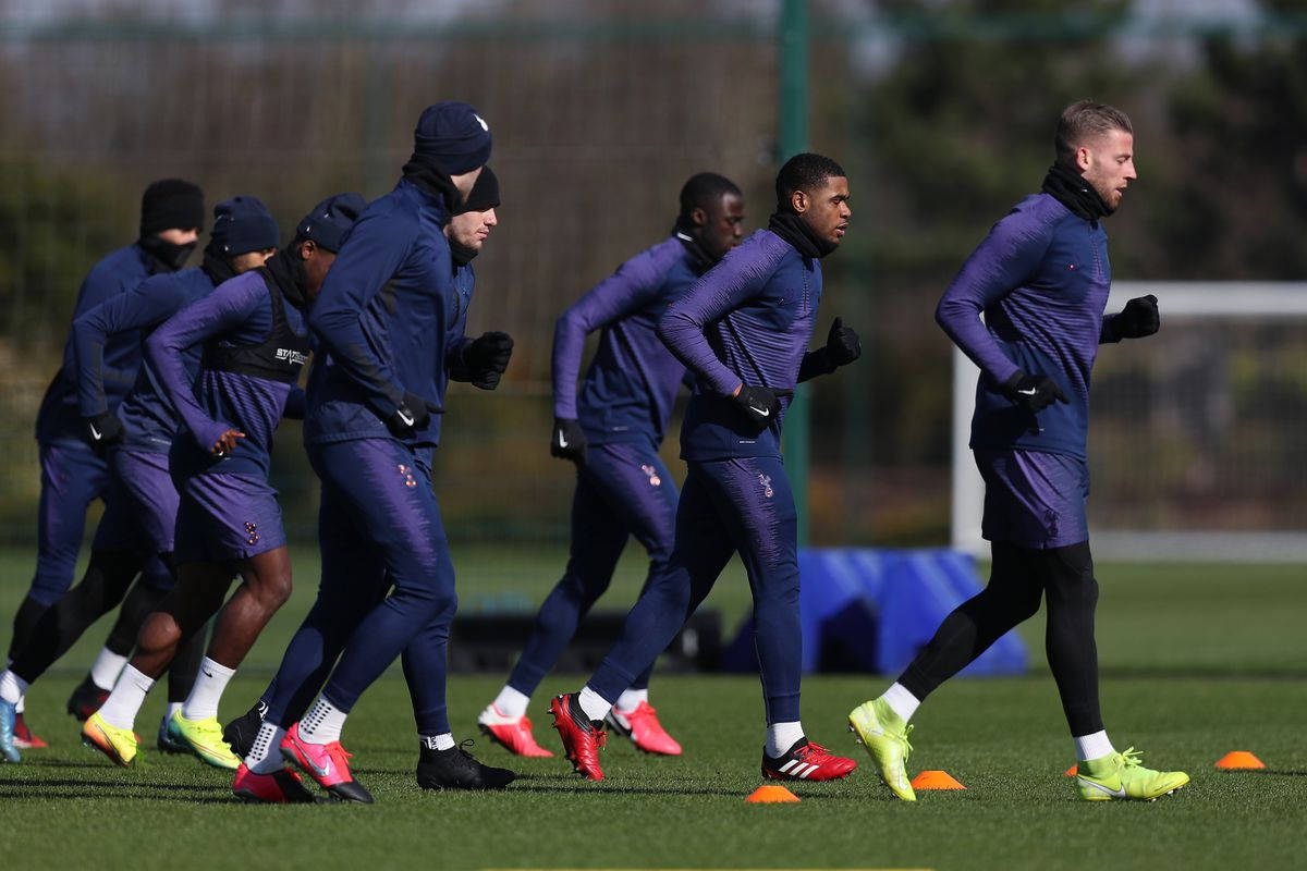 Tottenham Hotspurs FC, purple kits, green field, SD Desktop Wallpaper