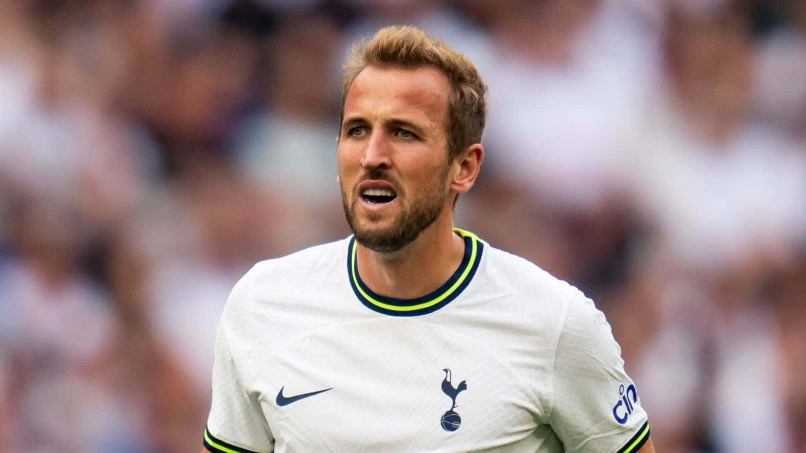 Tottenham, white Tottenham kit, green and navy trim, HD Desktop Wallpaper